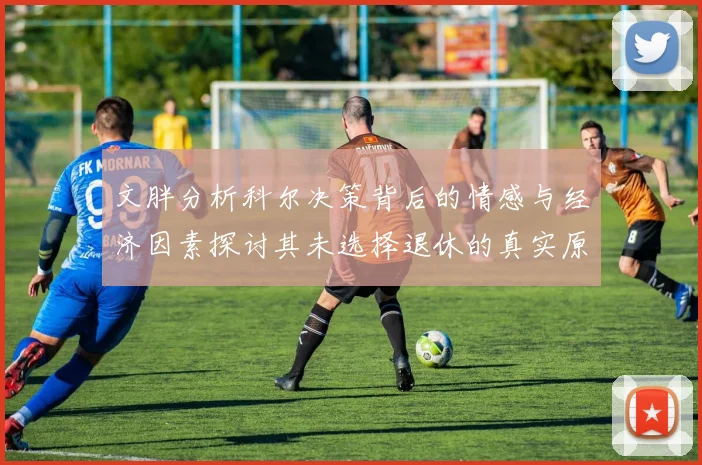 文胖分析科尔决策背后的情感与经济因素探讨其未选择退休的真实原因